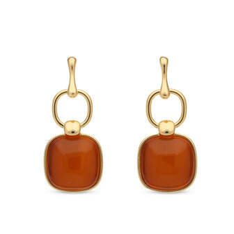 bejewels goud oorbellen roest O263